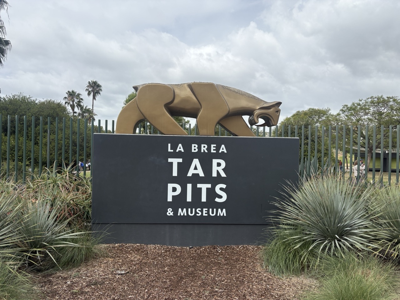 La Brea Tar Pits Bag Policy